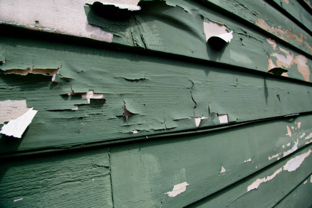 Best Steel Siding Installation  in Valley Springs, CA