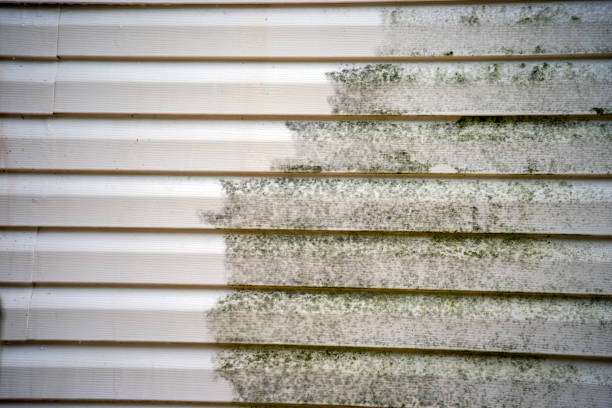 Best Insulated Siding Installation  in Valley Springs, CA